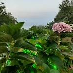 Ioni * ツァガラダ