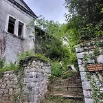 Ioni