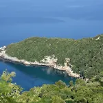 Ioni Tsagkarada