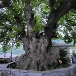 Apartmán Ioni *