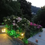 Ioni * Tsagkarada