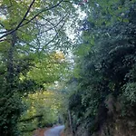 Ioni Apartmán *