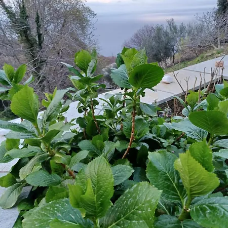 νύμφες ηχώ Διαμέρισμα Τσαγκαράδα