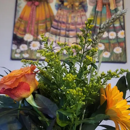 Ioni Apartamento Tsagarada