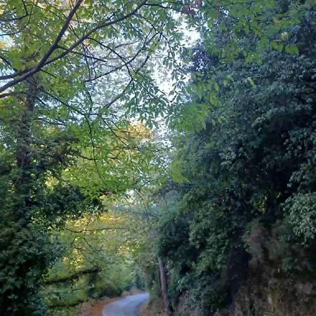 Ioni דירה *
