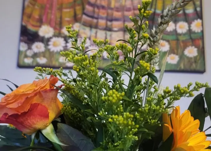 Ioni Apartman Cangaráda